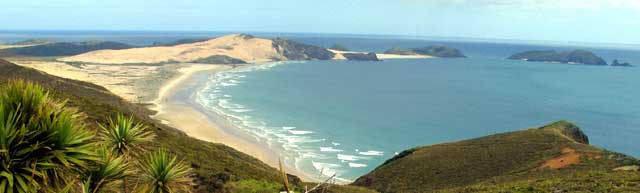 Looking South from Cape Reinga