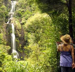 Kitekite Falls