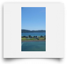 Ranaroo-Photo-2011-10-11 11:45