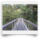 across the bridge to access the walks