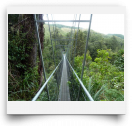 beatsmilking-Activity Photo-2012-01-18 11:36