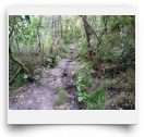 beatsmilking-Activity Photo-2011-11-08 23:44