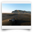 beatsmilking-Activity Photo-2011-12-17 09:20