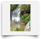 beatsmilking-Activity Photo-2011-11-13 15:33
