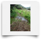beatsmilking-Activity Photo-2011-11-08 16:06