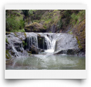 beatsmilking-Activity Photo-2011-11-08 16:09