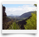 beatsmilking-Photo-2011-11-09 11:37