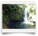 beatsmilking-Activity Photo-2011-11-09 11:34