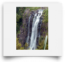 beatsmilking-Activity Photo-2011-11-16 17:42
