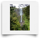 beatsmilking-Activity Photo-2011-11-16 17:42