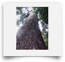 beatsmilking-Activity Photo-2011-11-11 12:05