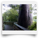 beatsmilking-Activity Photo-2011-11-11 12:06