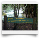 beatsmilking-Activity Photo-2011-11-13 15:14