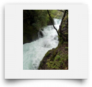 beatsmilking-Activity Photo-2011-11-13 15:15