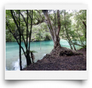 beatsmilking-Activity Photo-2012-08-13 10:56