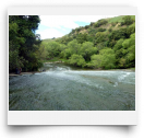 beatsmilking-Activity Photo-2012-08-13 11:03