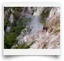 beatsmilking-Activity Photo-2011-11-16 16:31
