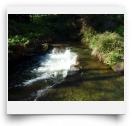 beatsmilking-Activity Photo-2011-11-13 18:47