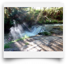 beatsmilking-Activity Photo-2012-08-13 10:51