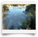 beatsmilking-Activity Photo-2011-11-11 10:40