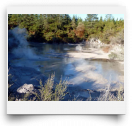beatsmilking-Activity Photo-2011-11-11 10:45