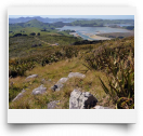 beatsmilking-Activity Photo-2012-08-08 07:53