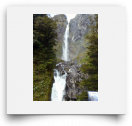 beatsmilking-Activity Photo-2012-08-08 08:59