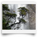beatsmilking-Activity Photo-2012-08-13 10:27