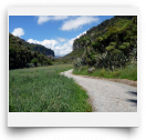 beatsmilking-Activity Photo-2012-08-09 08:23