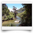 beatsmilking-Activity Photo-2012-08-09 08:18