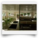 beatsmilking-Photo-2011-06-18 10:30