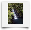 beatsmilking-Activity Photo-2011-11-08 16:21