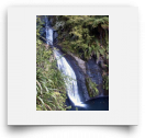 beatsmilking-Activity Photo-2011-11-08 16:22