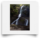 beatsmilking-Activity Photo-2011-11-08 16:23