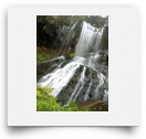 beatsmilking-Activity Photo-2011-11-13 15:31