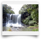 beatsmilking-Activity Photo-2011-11-13 15:32
