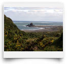 beatsmilking-Activity Photo-2012-08-13 10:13