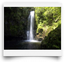 beatsmilking-Activity Photo-2011-11-09 11:32