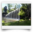 beatsmilking-Activity Photo-2011-11-09 07:59