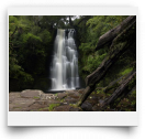 beatsmilking-Activity Photo-2012-08-30 22:12