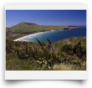 beatsmilking-Activity Photo-2012-08-08 07:55