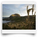 beatsmilking-Activity Photo-2012-08-17 21:52