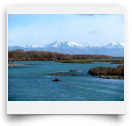 dchapple-Photo-2012-05-11 15:01