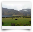 beatsmilking-Photo-2011-11-24 10:27