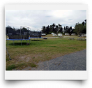 beatsmilking-Photo-2011-12-25 09:30