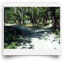 beatsmilking-Photo-2011-12-25 09:14