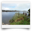 beatsmilking-Photo-2011-12-25 10:42
