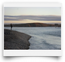 dchapple-Photo-2012-05-11 15:03