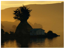 beatsmilking-photo-hunt-2011-12-02 11:16