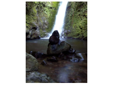 beatsmilking-photo-hunt-2011-11-20 10:07